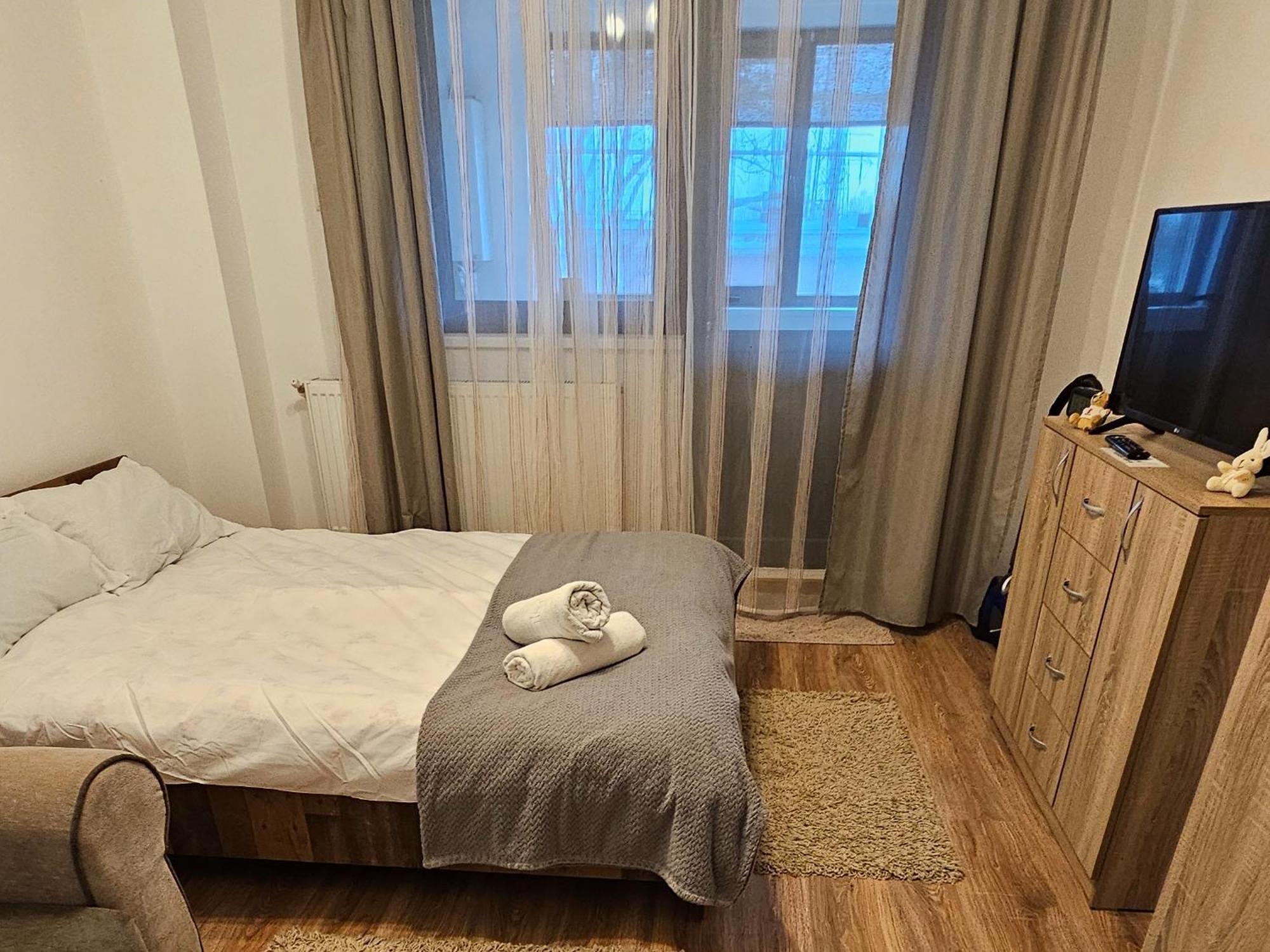 Cozy Studio Braila Ngoại thất bức ảnh